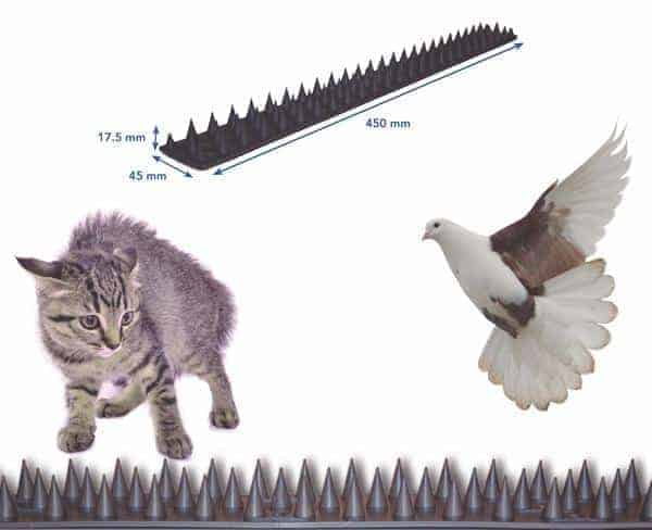Pinchos anti-gatos y aves